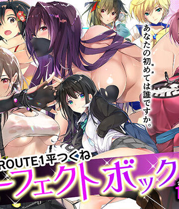 ROUTE1 平つくね パーフェクトボックス｜d_359811